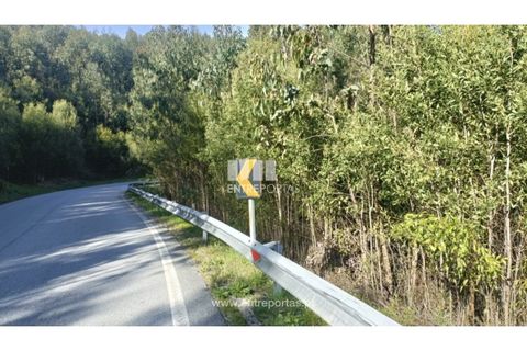Helårsgrund i Penafiel, Porto, Penafiel - € 18.500 | Ref: MC09647 - foto 1