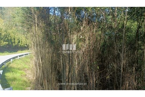 Helårsgrund i Penafiel, Porto, Penafiel - € 18.500 | Ref: MC09647 - foto 3