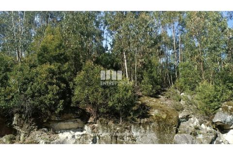 Helårsgrund i Penafiel, Porto, Penafiel - € 18.500 | Ref: MC09647 - foto 7