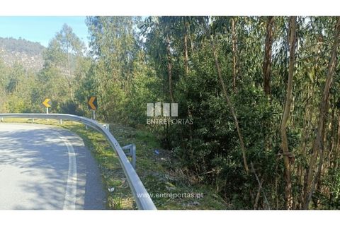 Helårsgrund i Penafiel, Porto, Penafiel - € 18.500 | Ref: MC09647 - foto 8