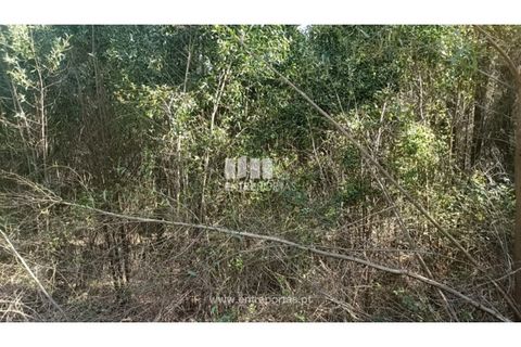 Helårsgrund i Penafiel, Porto, Penafiel - € 18.500 | Ref: MC09647 - foto 9