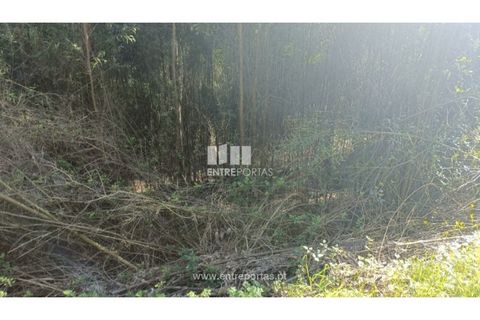 Helårsgrund i Penafiel, Porto, Penafiel - € 18.500 | Ref: MC09647 - foto 10