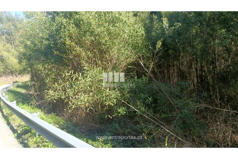 Helårsgrund i Penafiel, Porto, Penafiel - € 18.500 | Ref: MC09647 - foto 11