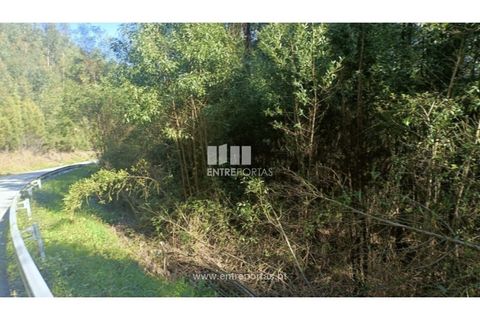 Helårsgrund i Penafiel, Porto, Penafiel - € 18.500 | Ref: MC09647 - foto 12