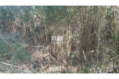 Helårsgrund i Penafiel, Porto, Penafiel - € 18.500 | Ref: MC09647 - foto 13