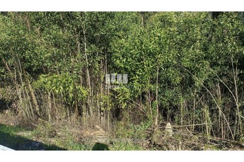 Helårsgrund i Penafiel, Porto, Penafiel - € 18.500 | Ref: MC09647 - foto 14
