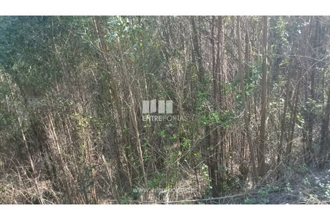 Helårsgrund i Penafiel, Porto, Penafiel - € 18.500 | Ref: MC09647 - foto 15