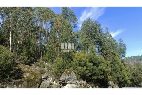 Helårsgrund i Penafiel, Porto, Penafiel - € 18.500 | Ref: MC09647 - foto 16
