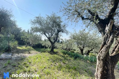 Helårsgrund i Grasse, Alpes-Maritimes, Grasse - € 289.999 | Ref: 83908219 - foto 2