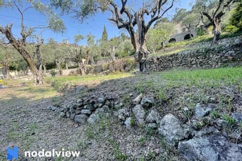 Helårsgrund i Grasse, Alpes-Maritimes, Grasse - € 289.999 | Ref: 83908219 - foto 3