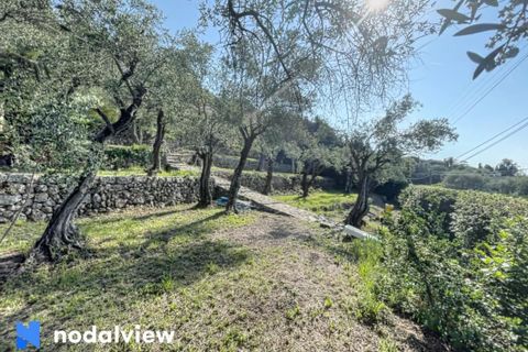 Helårsgrund i Grasse, Alpes-Maritimes, Grasse - € 289.999 | Ref: 83908219 - foto 4