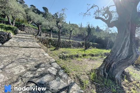 Helårsgrund i Grasse, Alpes-Maritimes, Grasse - € 289.999 | Ref: 83908219 - foto 6