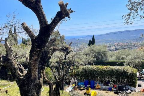 Helårsgrund i Grasse, Alpes-Maritimes, Grasse - € 289.999 | Ref: 83908219 - foto 9