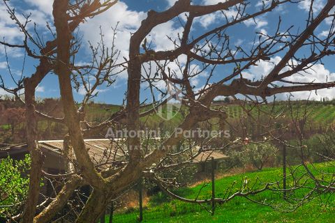 Villa i Todi, Perugia, Todi - € 490.000 | Ref: 64079 - foto 7