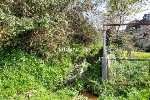 Helårsgrund i Sever do Vouga, Aveiro, Sever do Vouga - € 25.000 | Ref: VEN-3830 - foto 3