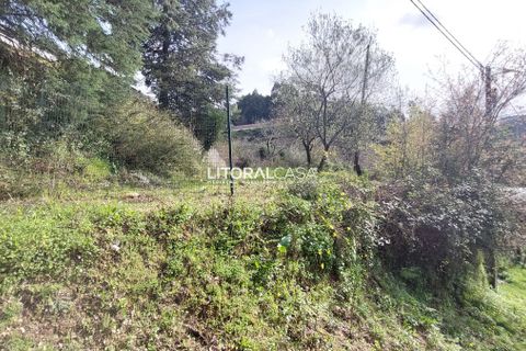 Helårsgrund i Sever do Vouga, Aveiro, Sever do Vouga - € 25.000 | Ref: VEN-3830 - foto 4