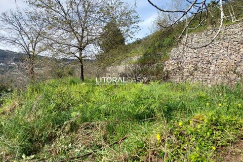 Helårsgrund i Sever do Vouga, Aveiro, Sever do Vouga - € 25.000 | Ref: VEN-3830 - foto 5