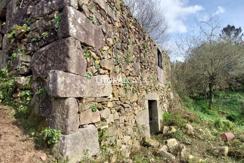 Helårsgrund i Sever do Vouga, Aveiro, Sever do Vouga - € 25.000 | Ref: VEN-3830 - foto 7