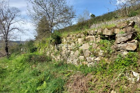 Helårsgrund i Sever do Vouga, Aveiro, Sever do Vouga - € 25.000 | Ref: VEN-3830 - foto 8