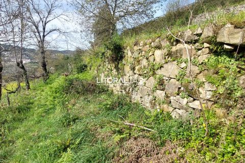 Helårsgrund i Sever do Vouga, Aveiro, Sever do Vouga - € 25.000 | Ref: VEN-3830 - foto 11