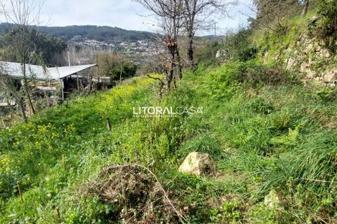 Helårsgrund i Sever do Vouga, Aveiro, Sever do Vouga - € 25.000 | Ref: VEN-3830 - foto 12