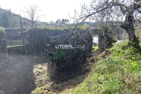 Helårsgrund i Sever do Vouga, Aveiro, Sever do Vouga - € 25.000 | Ref: VEN-3830 - foto 13
