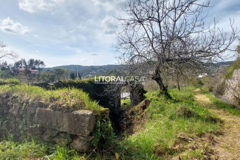 Helårsgrund i Sever do Vouga, Aveiro, Sever do Vouga - € 25.000 | Ref: VEN-3830 - foto 15