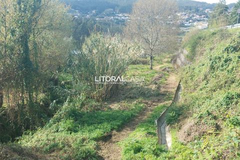Helårsgrund i Sever do Vouga, Aveiro, Sever do Vouga - € 25.000 | Ref: VEN-3830 - foto 16