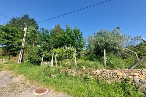 Helårsgrund i Sever do Vouga, Aveiro, Sever do Vouga - € 25.000 | Ref: VEN-3830 - foto 18