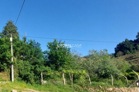 Helårsgrund i Sever do Vouga, Aveiro, Sever do Vouga - € 25.000 | Ref: VEN-3830 - foto 19