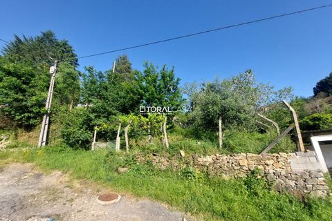 Helårsgrund i Sever do Vouga, Aveiro, Sever do Vouga - € 25.000 | Ref: VEN-3830 - foto 20
