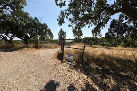 Helårsgrund i Castelo Branco, Castelo Branco, Castelo Branco - € 750.000 | Ref: TERJL019 - foto 2