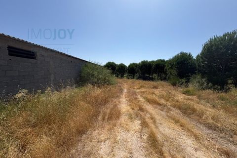 Helårsgrund i Castelo Branco, Castelo Branco, Castelo Branco - € 750.000 | Ref: TERJL019 - foto 3