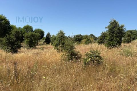 Helårsgrund i Castelo Branco, Castelo Branco, Castelo Branco - € 750.000 | Ref: TERJL019 - foto 4