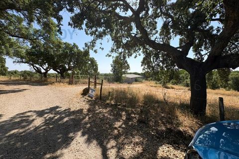 Helårsgrund i Castelo Branco, Castelo Branco, Castelo Branco - € 750.000 | Ref: TERJL019 - foto 6