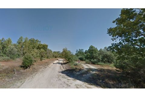 Helårsgrund i Castelo Branco, Castelo Branco, Castelo Branco - € 750.000 | Ref: TERJL019 - foto 8