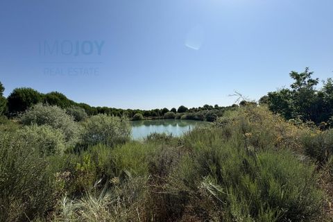Helårsgrund i Castelo Branco, Castelo Branco, Castelo Branco - € 750.000 | Ref: TERJL019 - foto 10