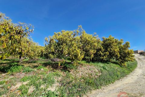 Finca i Salobrena, Granada, Salobrena - € 230.000 | Ref: MP554 - foto 12