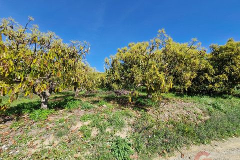 Finca i Salobrena, Granada, Salobrena - € 230.000 | Ref: MP554 - foto 13