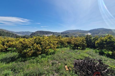 Finca i Salobrena, Granada, Salobrena - € 230.000 | Ref: MP554 - foto 15