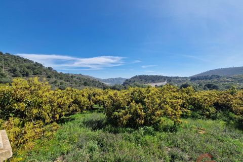 Finca i Salobrena, Granada, Salobrena - € 230.000 | Ref: MP554 - foto 16