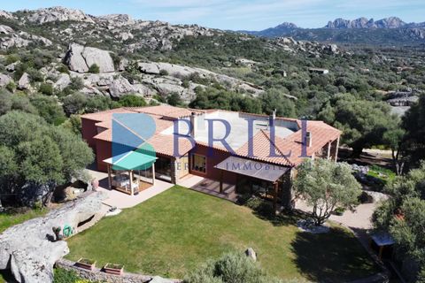 Villa i Arzachena, Sassari, Arzachena - € 970.000 | Ref: AR-172AT - foto 48