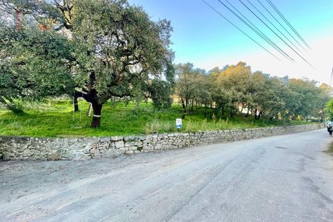 Helårsgrund i Trofa, Porto, Trofa - € 225.000 | Ref: 344 - foto 1