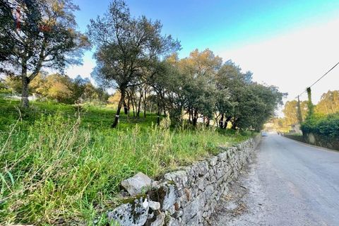 Helårsgrund i Trofa, Porto, Trofa - € 225.000 | Ref: 344 - foto 2