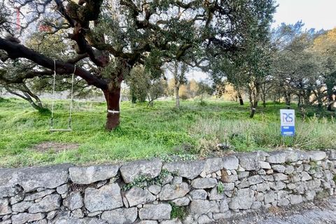 Helårsgrund i Trofa, Porto, Trofa - € 225.000 | Ref: 344 - foto 3