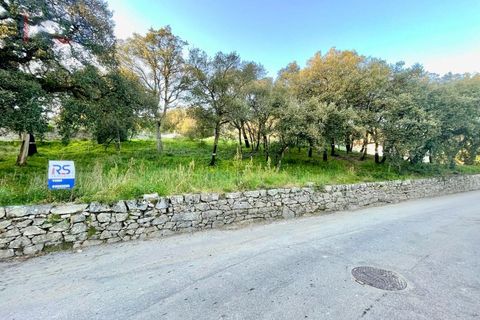 Helårsgrund i Trofa, Porto, Trofa - € 225.000 | Ref: 344 - foto 4