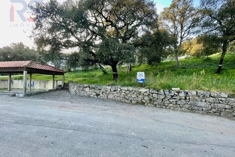 Helårsgrund i Trofa, Porto, Trofa - € 225.000 | Ref: 344 - foto 5