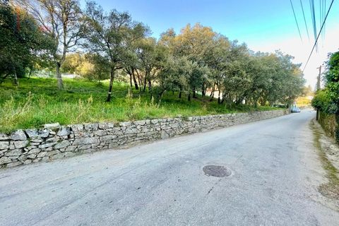 Helårsgrund i Trofa, Porto, Trofa - € 225.000 | Ref: 344 - foto 7