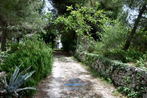 Villa i Ostuni, Brindisi, Ostuni - € 330.000 | Ref: 757 - foto 11
