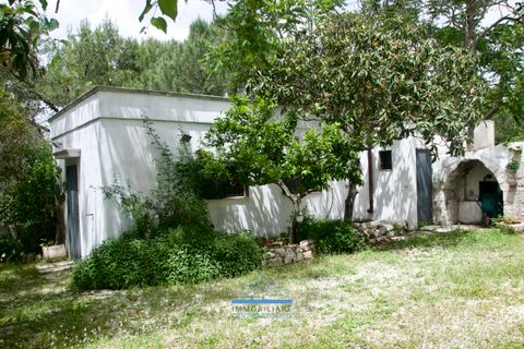 Villa i Ostuni, Brindisi, Ostuni - € 330.000 | Ref: 757 - foto 16